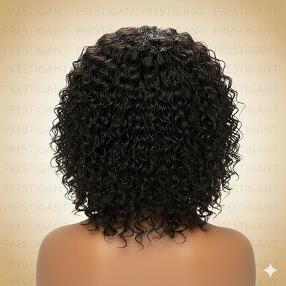 Curly Lace Front Wig Black Small Prestigant